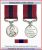 The Distinguished Conduct Medal