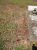 The Unmarked Grave of John Joseph Walters and Margaret Walters (n. Flemming)