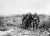Stretcher Bearers in the Zonneke - Passchendaele area Oct 1917