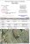 Burial Details - John Joseph Walters